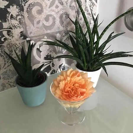Chez Lorenz Bed & Breakfast Hopital-Camfrout